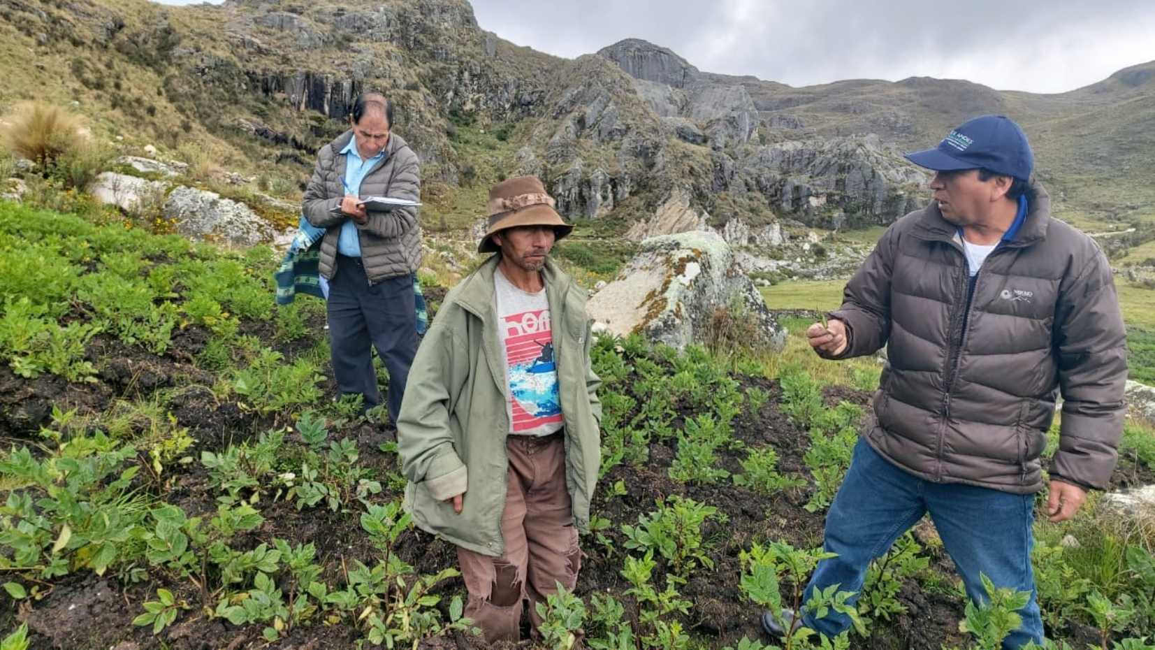 La cooperación que impulsa el desarrollo.