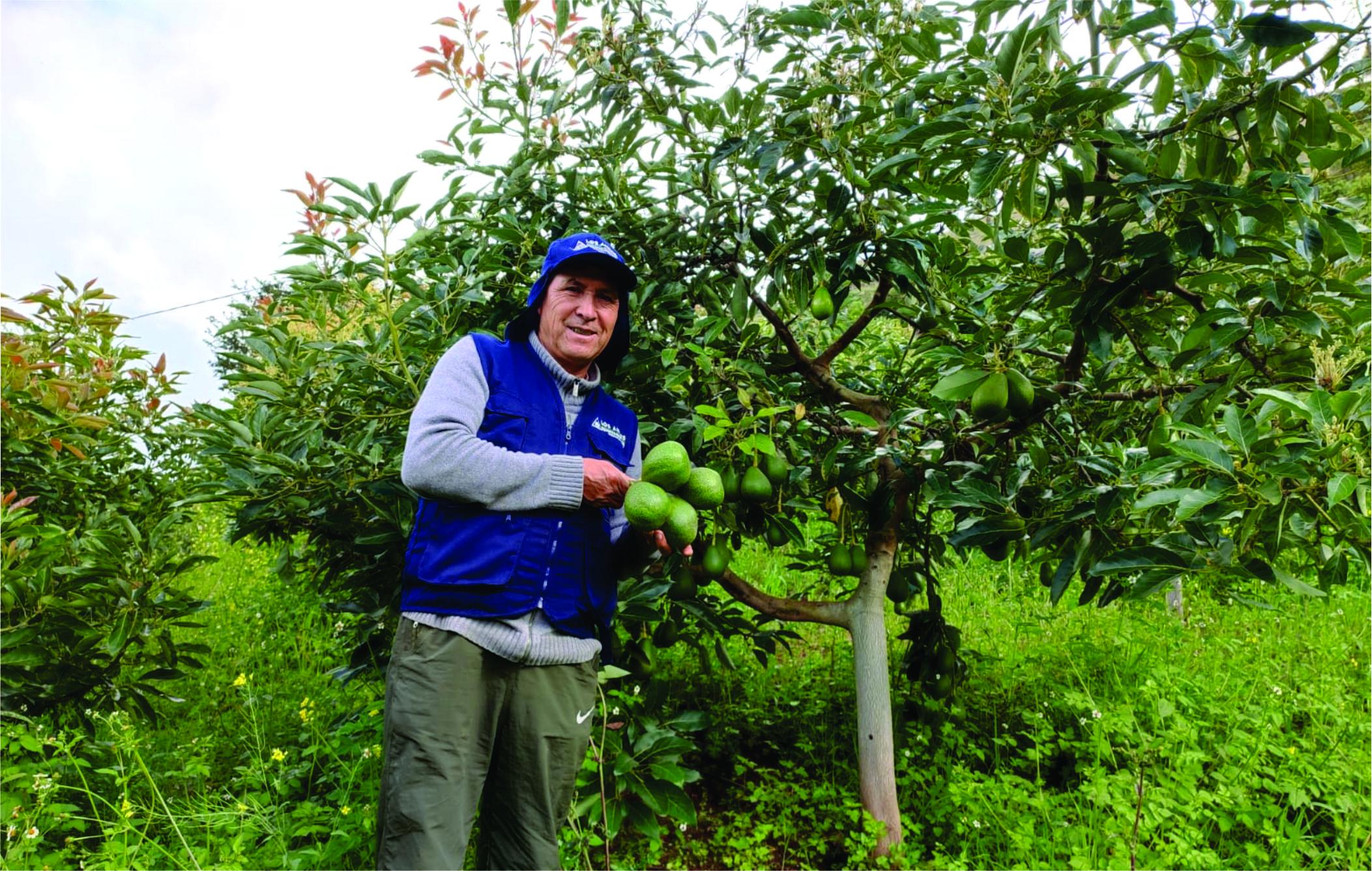 Préstamo Socio Categorizado